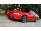 Thumbnail Photo 3 for 2003 Ford Mustang Cobra Coupe